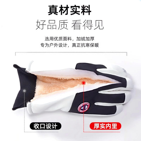 Winter New Ski Riding Gloves Men's Warm fleece-lined Thickened Windproof Waterproof Touch Fashion Gloves for Women