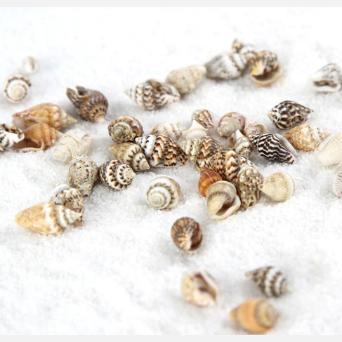 Мох микро пейзаж ювелирные изделия маленькие ракушки раковины украшения DIY сборка маленькие украшения игрушка ландшафтный дизайн плагин