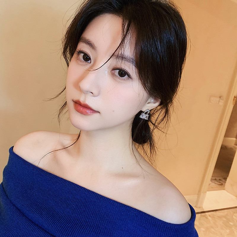 银色满钻包包耳钉女轻奢高级感气质大气耳环2025新款精致独特耳饰|undefined