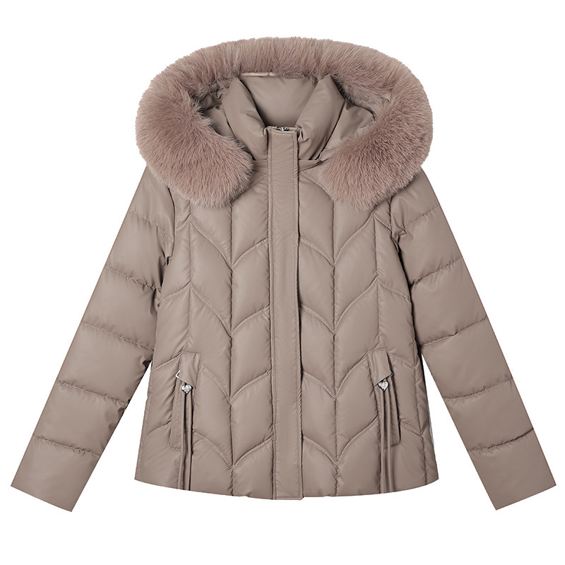 Invierno nuevo algodón de mujer coreana delgada algodón de cuello corto de lana de mujer interior de terciopelo chaqueta de algodón cálida image 5
