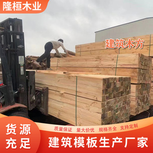 ���̽��B����ľ��Ӳ�sľ�l����ʩ��֧ģ֧�ΰ彨�ĽY�����ľ��