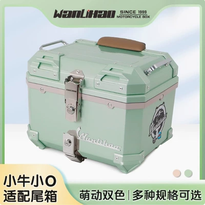 Motorcycle trunk: rear trunk, scooter trunk, non-aluminum