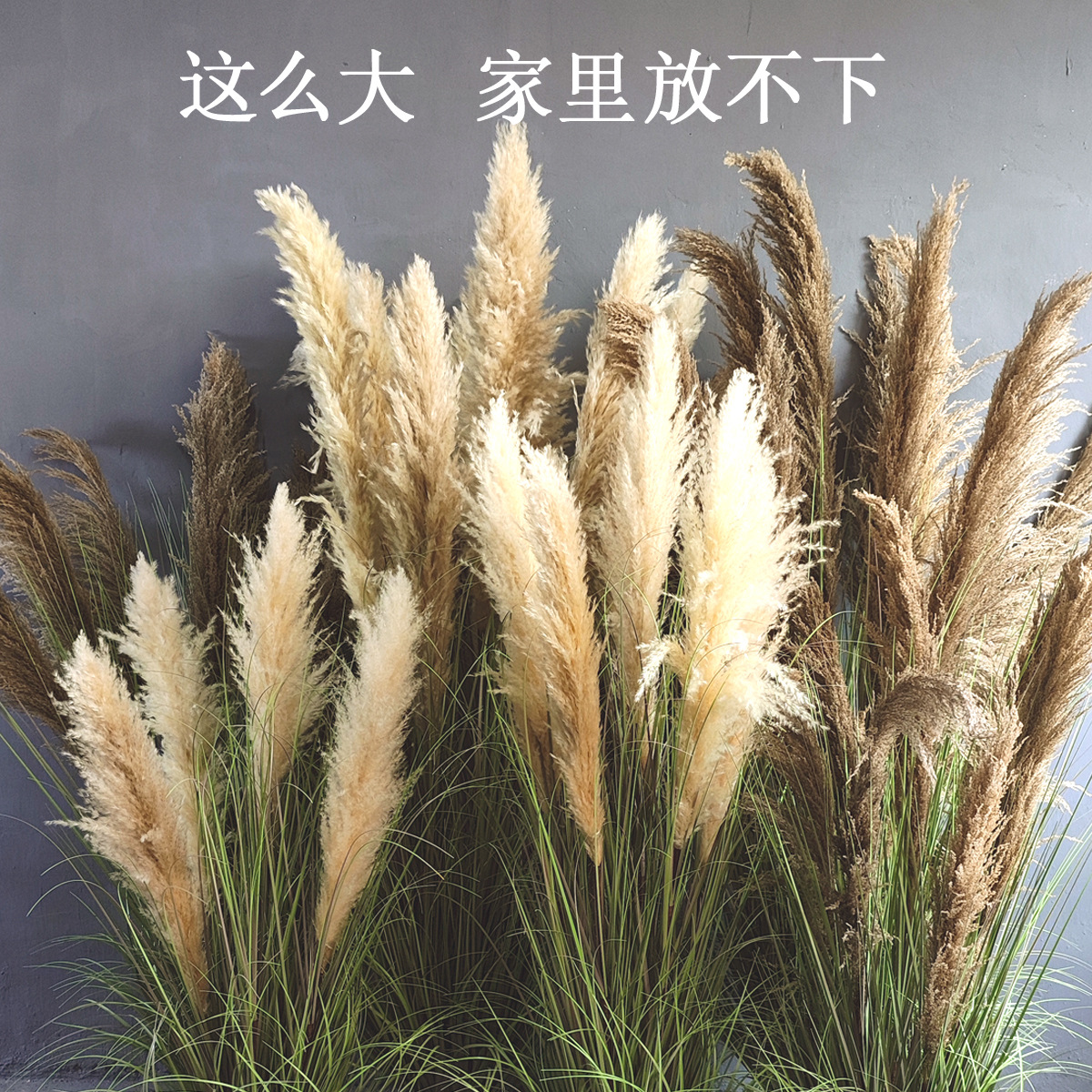 天然芦苇假花绿植狗尾草商场店面植物造景家居盆栽摆件仿真绿植