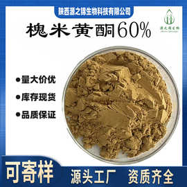槐米提取物槐米黄酮40%60%水溶性提取物SC厂家现货吨位供应多规格