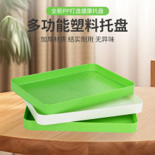 长方形塑料托盘简易客厅放水杯茶杯家用水果盘加厚防滑收纳盘