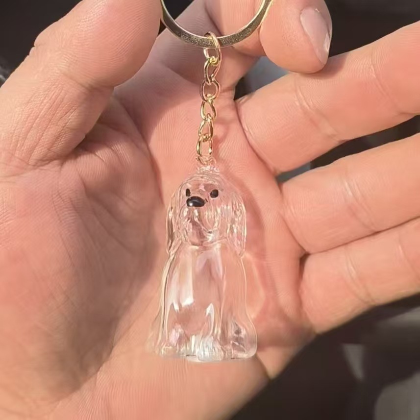 Caja de almacenamiento para perros y gatos colgantes de pelo transparente colección de almacenamiento cápsula bolsa colgantes de llaver
