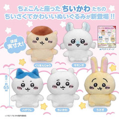 元の現物のchiiawaは熊の第一弾の小八烏サキキイのぬいぐるみの置物をからかっています。