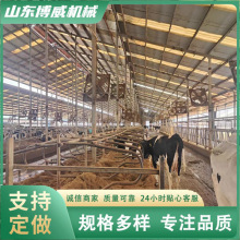 ţԴaS pţԴ ţţԴ ๦ţԴ