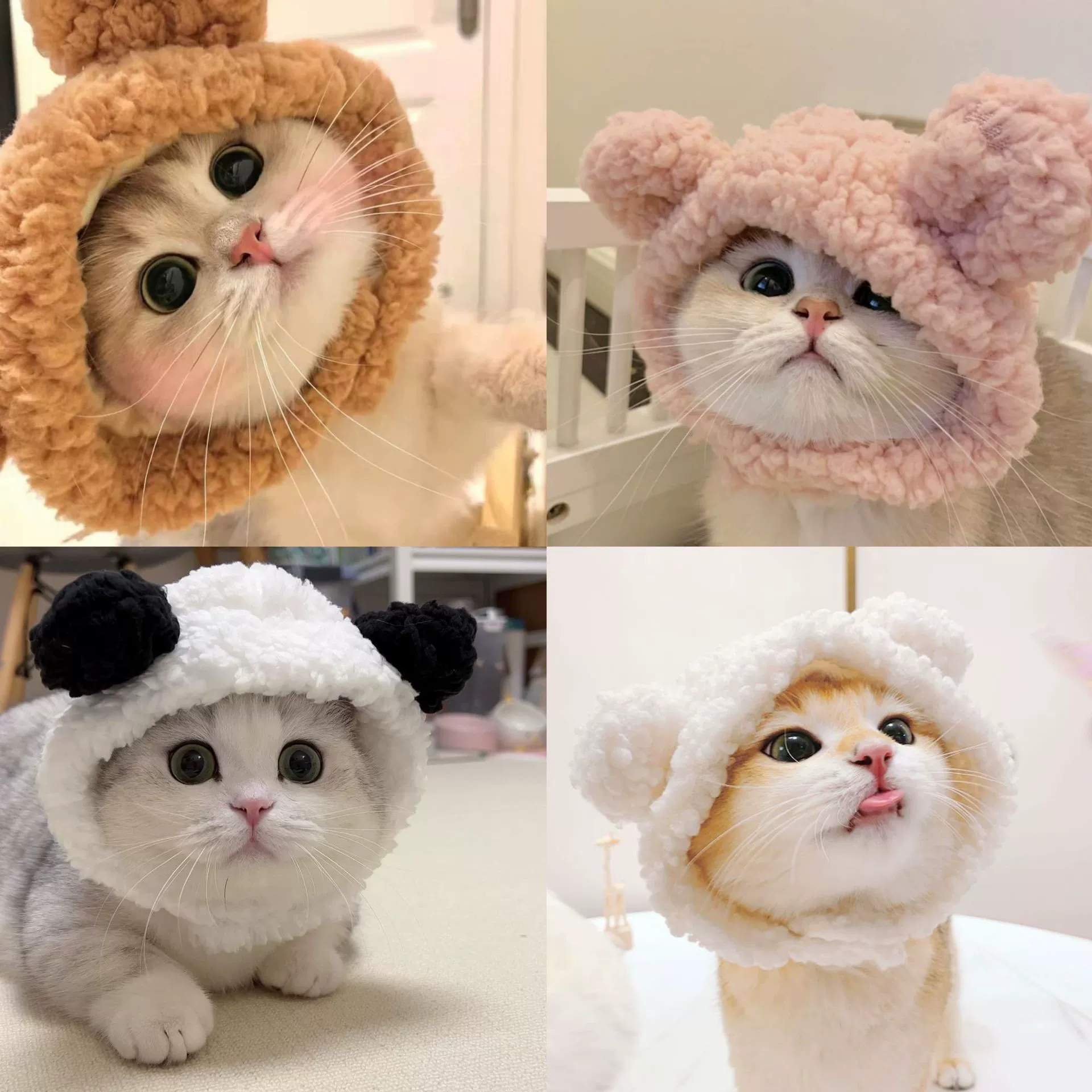 Домашняя шляпа маленький медведь плюшевый капюшон короткие милые уши кот маленькая собака смешная фотография головного убора