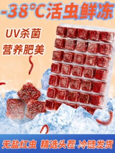 �t�x�����o�}�~ʳ����S���r�^�p�~��ȸ�߲ʽ��~���~�~�Z