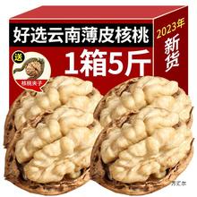 云南纸皮核桃2023新货生薄皮核桃仁新鲜孕妇散装零食坚果原味炒货