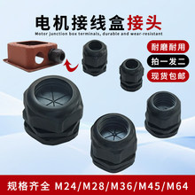 늙C�Ӿ��г����׿���|�������̶����m�^���o�����Ͻ��^��ĸ