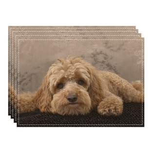 �ԹԿɐ�ſ��С���͉|�ڰׄ���y·�D�������b�