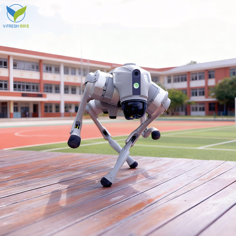 智慧ai机器狗遥控操作仿生四足动作电子宠物陪伴自主避障工厂直售