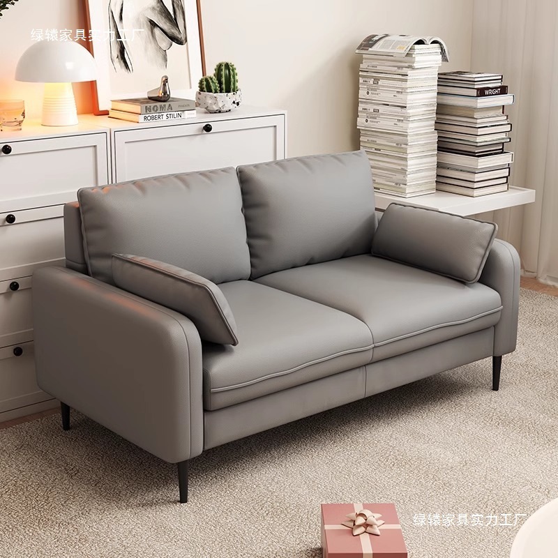 Cat Claw Leather Small Apartment Sofa Two or Three Persons Modern Casual Living Room Office Apartment Rental Light Luxury Clothing Store