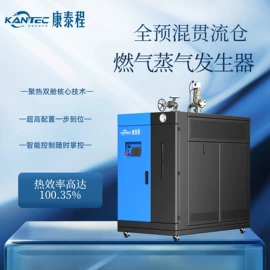 蒸汽发生器;燃气锅炉