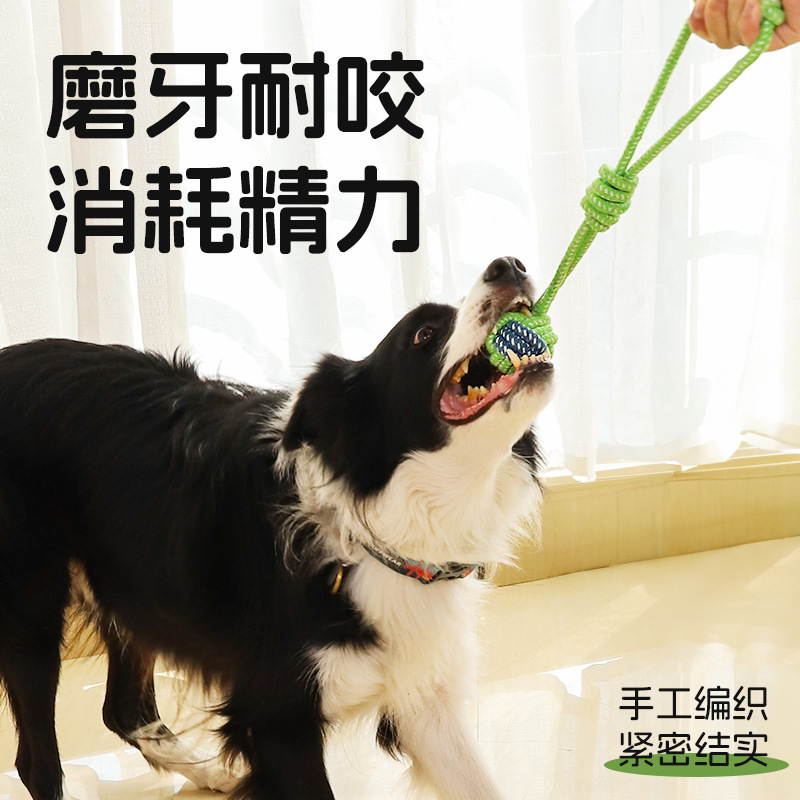 犬のおもちゃは縄をかむことに耐えます。|undefined