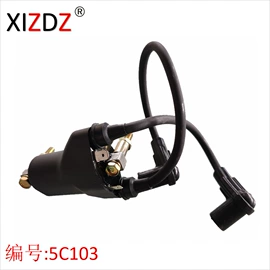 车身及附件;电子调节器;点火器