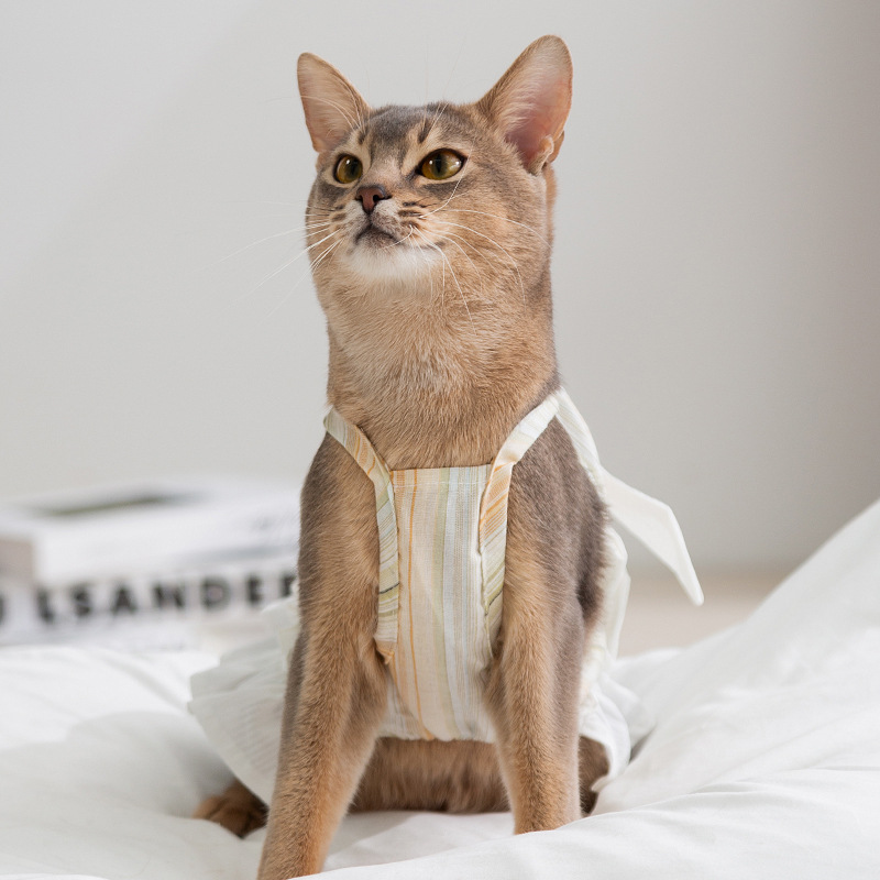 Gato primavera y verano rayas damas arco esbelta falda perro pequeño y mediano peluche falda perro mascota ropa de gato