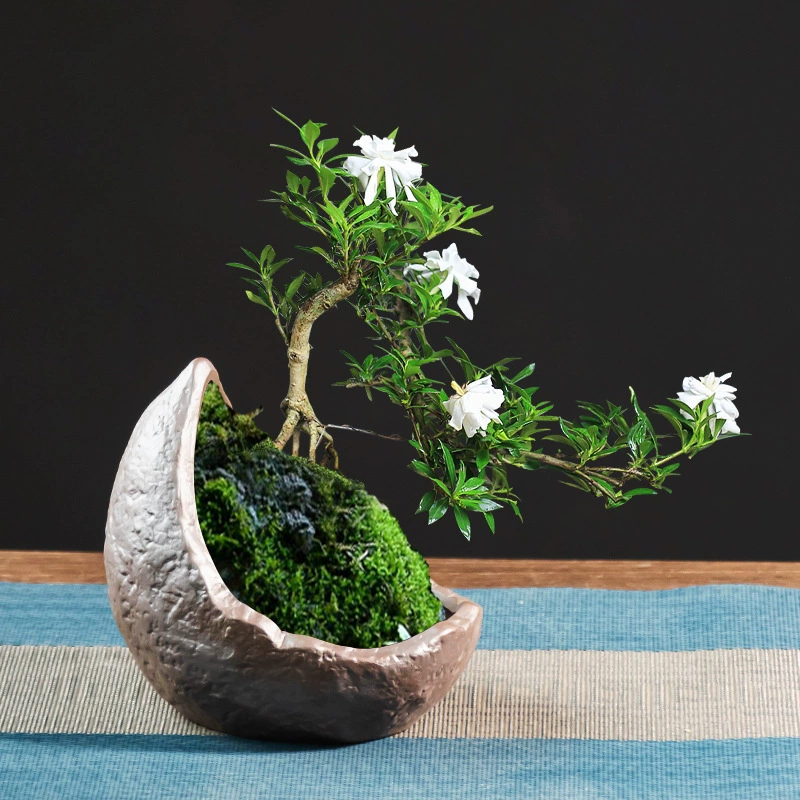 Китайский стиль фиолетовый песок креативный персонализированный цветочный горшок июньский снег чай Фуцзянь маленький старый ворс зеленый горшок для растений Бытовая Гостиная настольное украшение