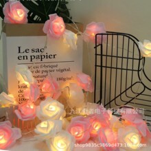 �羳 LED����õ�廨����С�ʟ���Y���������չ����Ɍ��b���
