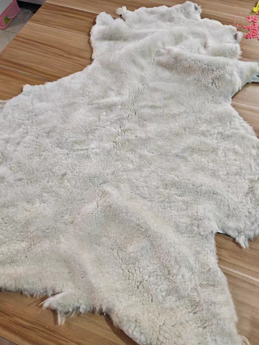 69ED188BADC91E7C7CAED811D690D6