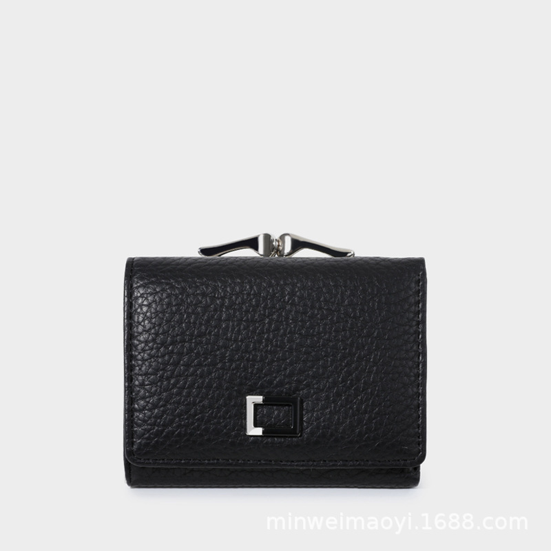 Versatile Magnetic Compact Clasp Purse