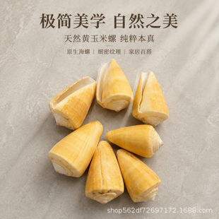 ؐ������3-6cm�S�������~���쾰�������l����diy��ˇƷ�ľ�з��Ȼ