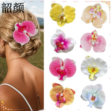 ���R�d�羳���N�����m���滨�l�A����߅�A�����Ķȼ����հl�A���l