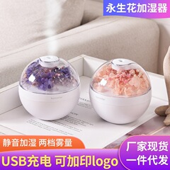 越境永生花加湿器創意家庭用車載アロマ多機能小型保湿スプレーUSB加湿器