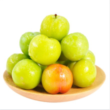 �V�����������r������������Ӱ��]�a��ֱ�l������һ�����l
