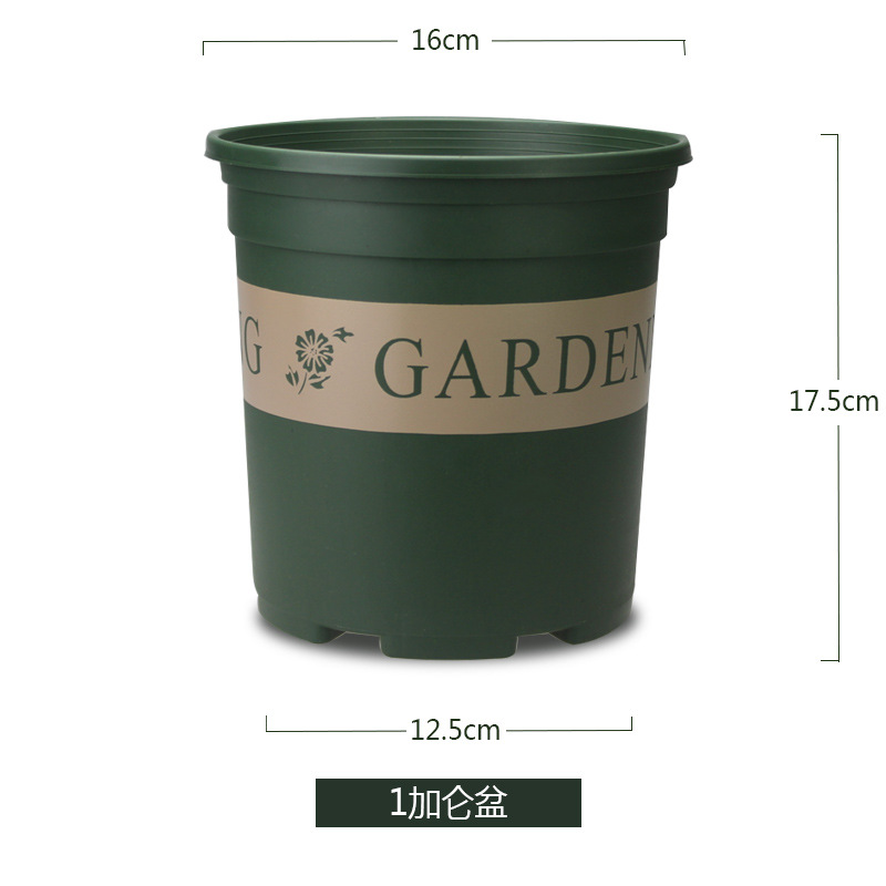 1 gallon basin
