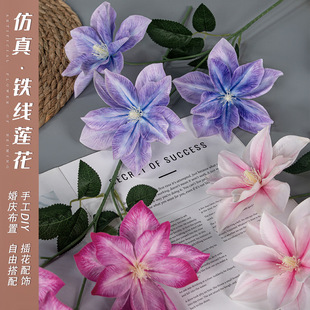 ���^�F��ɏ���滨��c��Y���b�����Ҿ�����[���쾰��Y·��