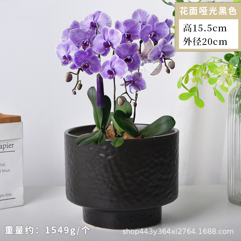 Cerámica orquídea mariposa maceta especial ins crema viento alto sentido decoración del hogar verde cerámica maceta grande image 12