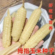 Ĵָ׷NŴСװŴ׷NָŴ׷N