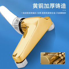 廚房水龍頭全銅入牆式冷熱萬向龍頭洗菜盆混合閥陽台洗衣池拖把池