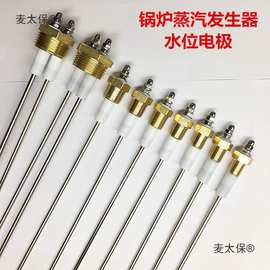 蒸汽锅炉不锈钢耐温水位计电探针测水位控制液位传感器感应麦太保