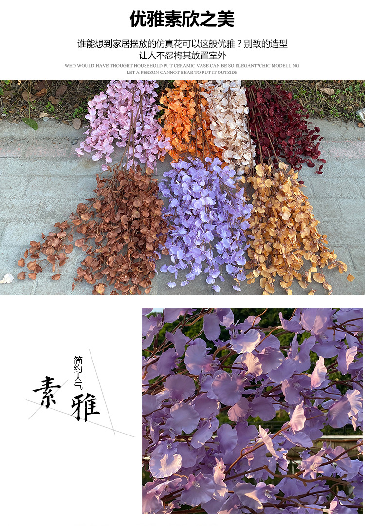 跳舞兰_03.jpg