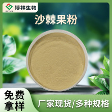 沙棘果粉原料  沙棘果粉固体饮料 沙棘果粉全果粉沙棘果冻干粉