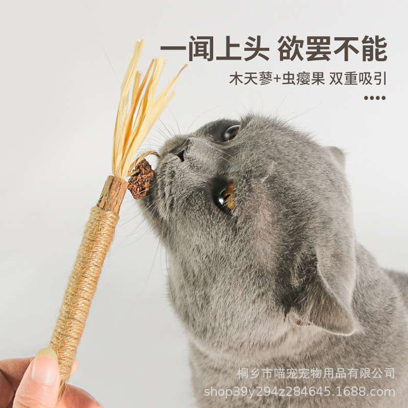 Insect gall fruit plus Polygonum multiflorum Rod cat teeth grinding stick bite combination new cat toy molar teeth cleaning and tartar removal