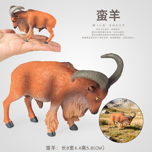 ���挍�Ą���ģ�̓�ͯ�J֪�U�����B��ɽ���n������ɽ�{��ߔ[��