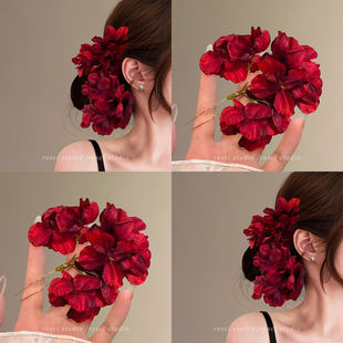 ���ɷՇ���õ�廨��l��Ů�h����tɫ�l�O�^���^l�2025�¿�