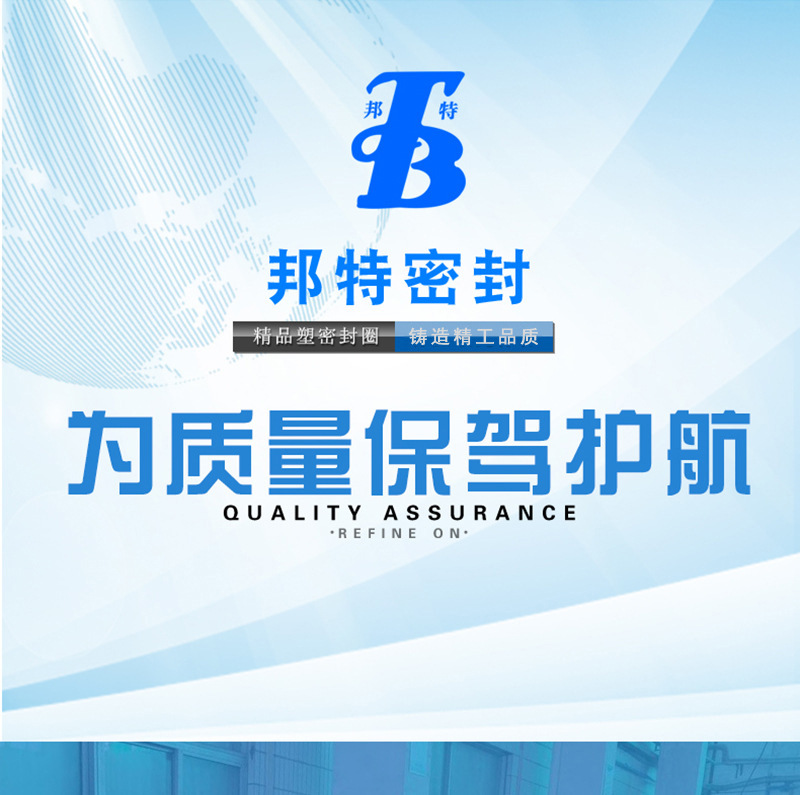 B056--厂家直销汽车摩托活塞杆用防尘密封圈-液压缸气动缸