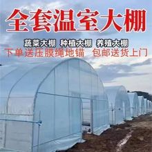 Ǽ䓹߲˱طNֲBֳϲݮAﶨ.ȫ