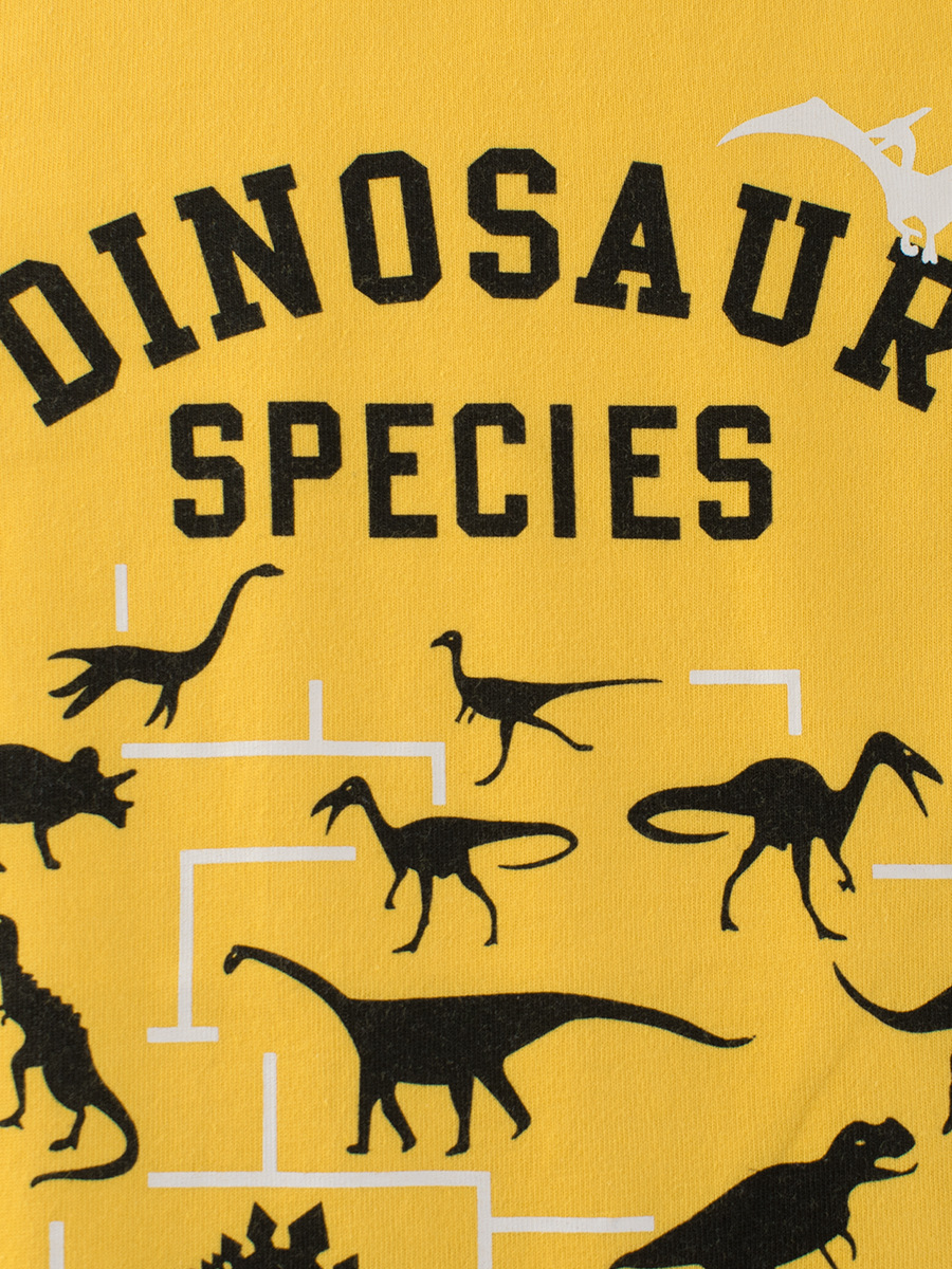 Ropa infantil transfronteriza GRRR, suministro en vivo, novedades de otoño 2024, camiseta con estampado de dinosaurio, camiseta de manga larga para niños y niñas