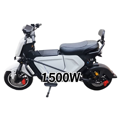 Bicycles and Electric Vehicles, Elektrikli motosikletlər