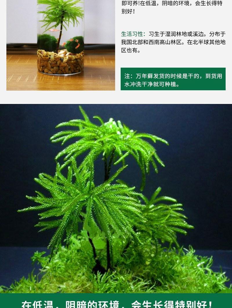 75df04c3-b5cd-427d-9ff0-02712a9fcf0c.jpe