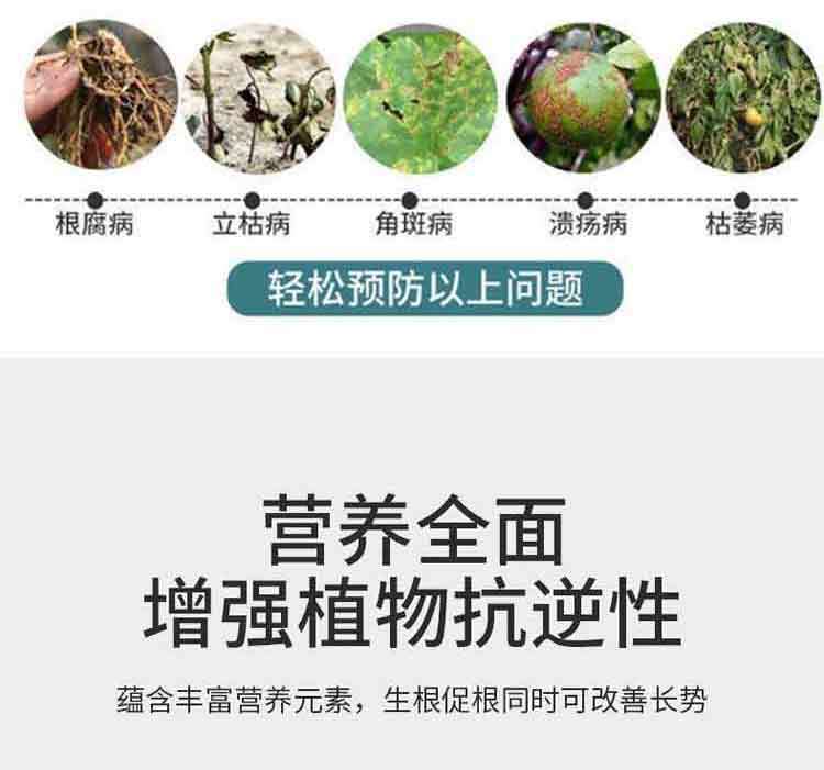 d8dc19f5-60e2-466d-84e5-bf259d17cd14.jpe