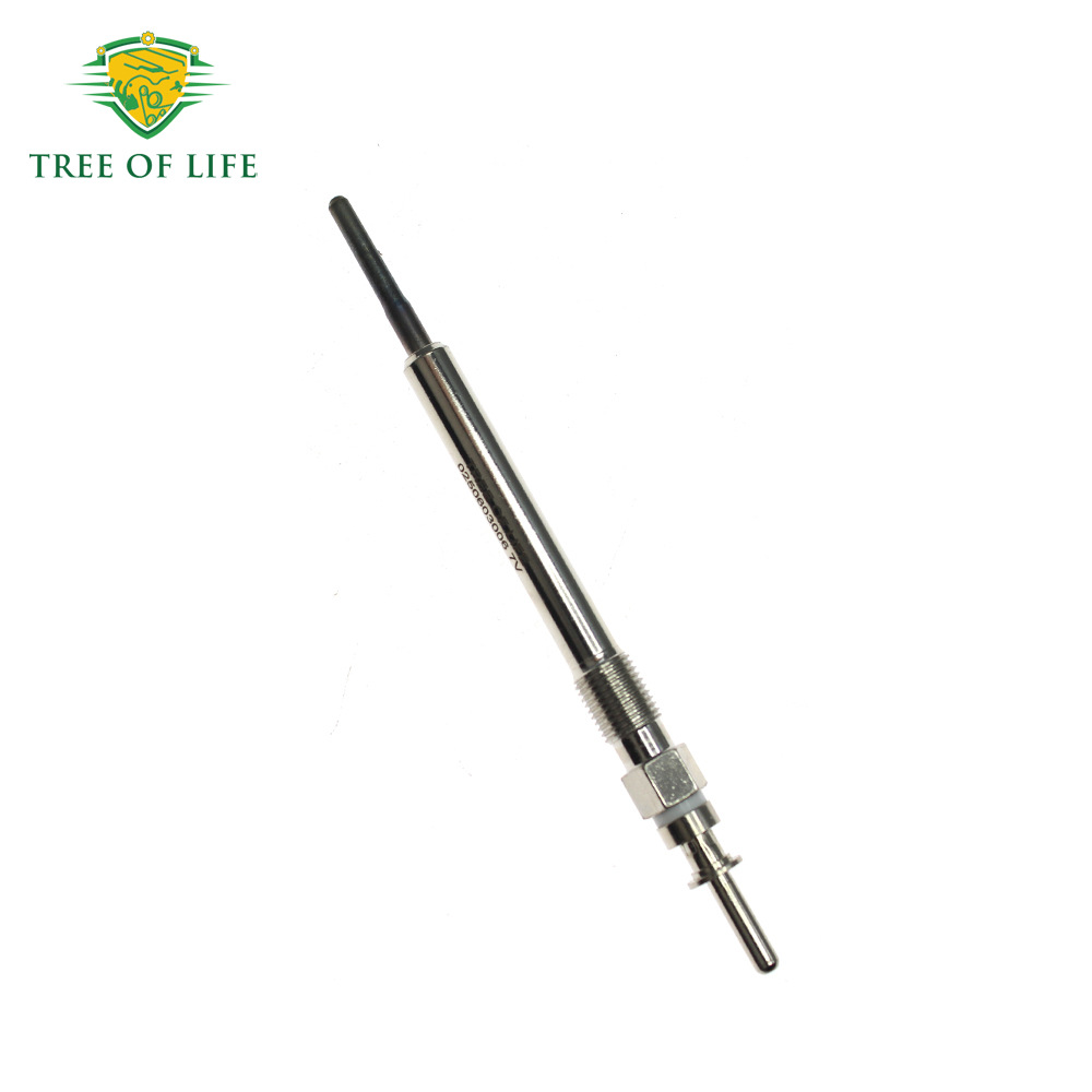0250603006,12230035934,12237803368 are suitable for Mini Cooper Toyota glow plugs