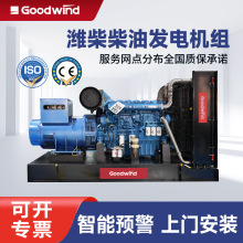 潍柴柴油发电机组200kw全铜无刷稳定功率低排环保柴油发电机组